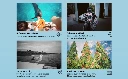 b3435869-00d2-4480-9756-5004f6abf89e.__CR0,0,970,600_PT0_SX970_V1___.webp