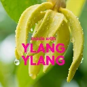 61Y7X8LiC4L._AC_SL1500_.webp