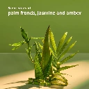 71T1O1W9feL._AC_SL1500_.webp